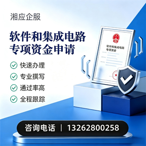 宁德软件和集成电路专项资金申报服务