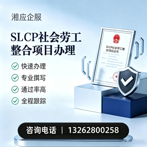 宁德SLCP社会劳工整合项目申报服务