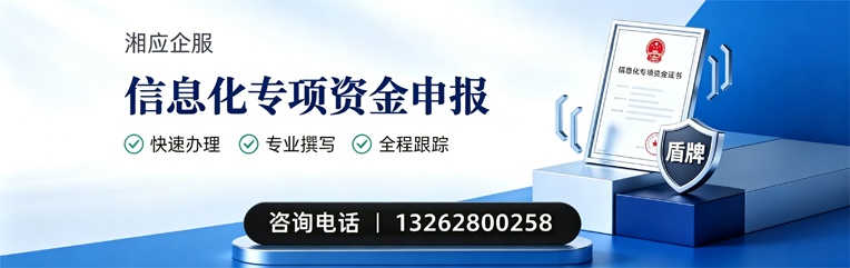 宁德信息化专项资金申报服务