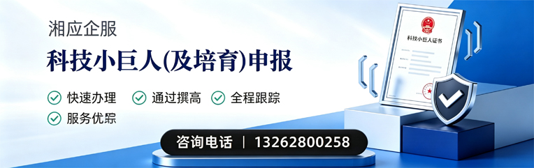 宁德科技小巨人及培育企业申报服务
