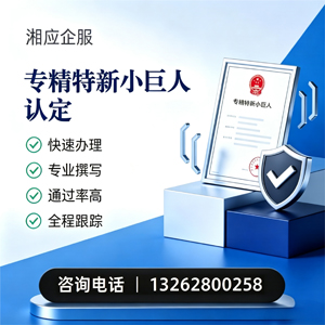 宁德专精特新小巨人申报服务