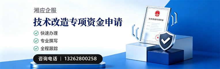 宁德技术改造专项资金申报服务