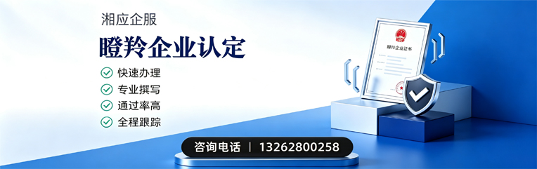 宁德瞪羚企业认定申报服务
