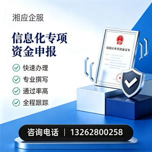 宁德信息化专项资金申报服务