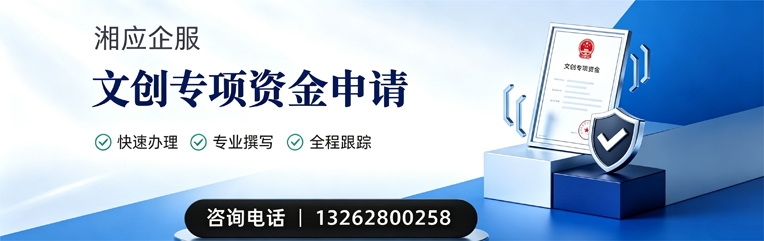宁德文创专项资金申报服务