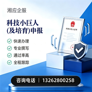 宁德科技小巨人及培育企业申报服务