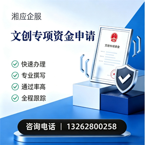 宁德文创专项资金申报服务