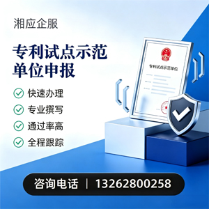 宁德专利试点示范单位申报服务