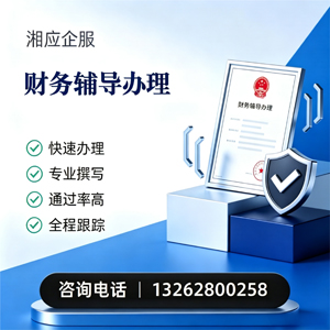 宁德财务辅导申请服务