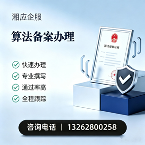 宁德算法备案申报服务
