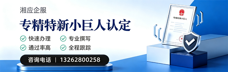 宁德专精特新小巨人申报服务